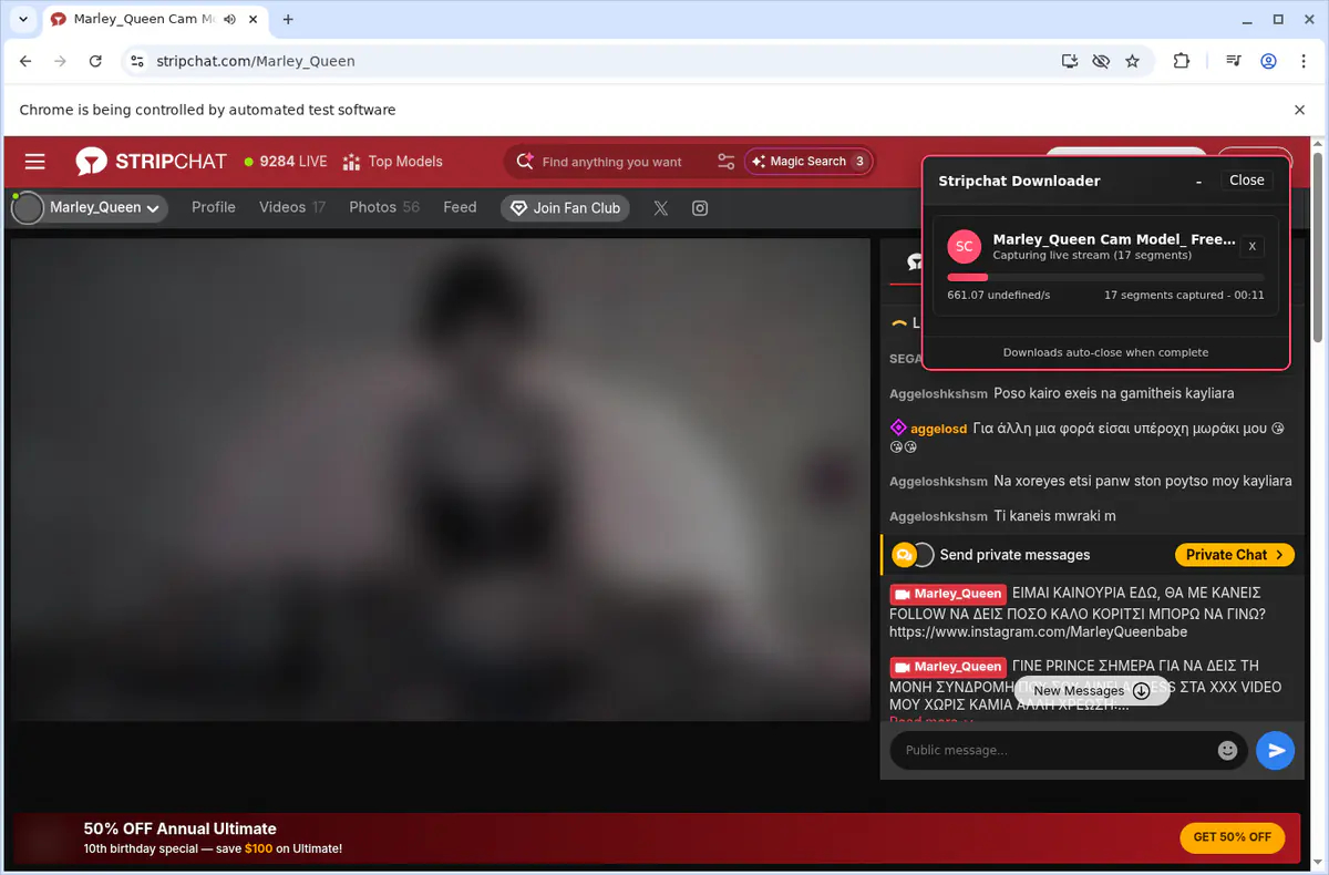 Stripchat Video Downloader browser extension screenshot 3
