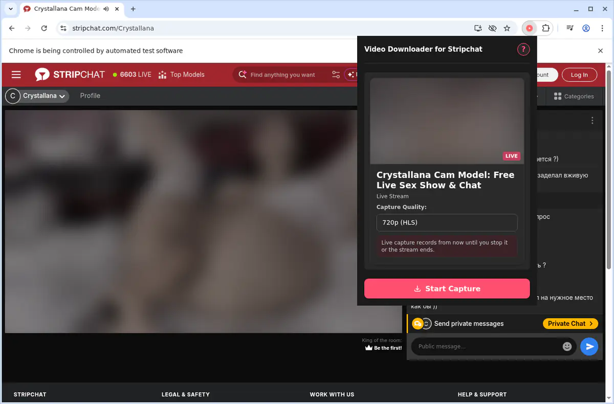 Stripchat Video Downloader browser extension screenshot 4